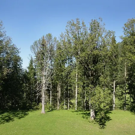 Schloss Fischhorn 4* فوش ان دير غلوكنه